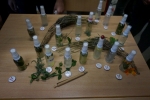 Deo aus dem Schulgartn